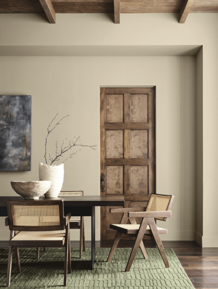 Universal khaki paint on walls